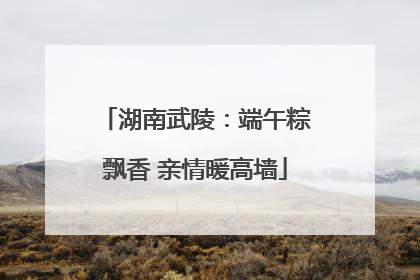 湖南武陵：端午粽飘香 亲情暖高墙