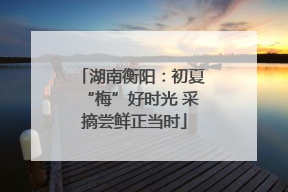 湖南衡阳：初夏“梅”好时光 采摘尝鲜正当时