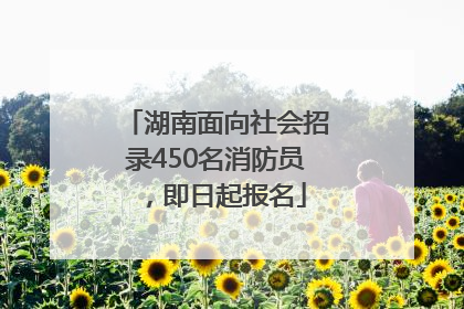 湖南面向社会招录450名消防员，即日起报名