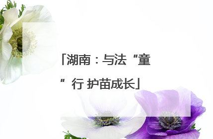 湖南：与法“童”行 护苗成长