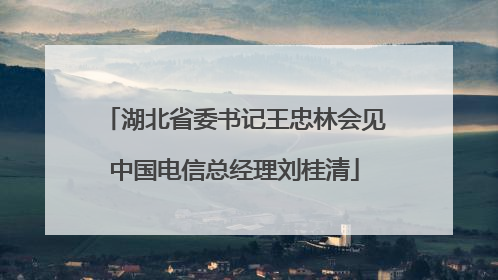 湖北省委书记王忠林会见中国电信总经理刘桂清