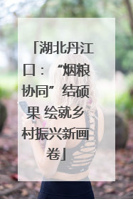 湖北丹江口：“烟粮协同”结硕果 绘就乡村振兴新画卷
