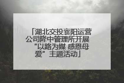 湖北交投襄阳运营公司隆中管理所开展“以路为媒 感恩母爱”主题活动
