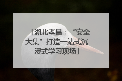 湖北孝昌：“安全大集”打造一站式沉浸式学习现场