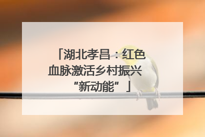 湖北孝昌：红色血脉激活乡村振兴“新动能”