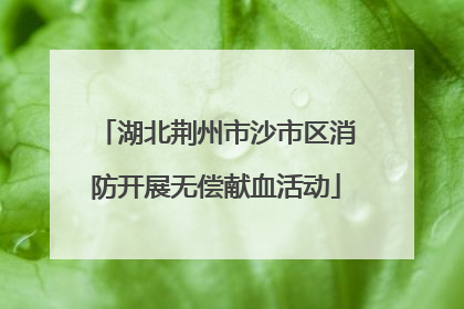 湖北荆州市沙市区消防开展无偿献血活动
