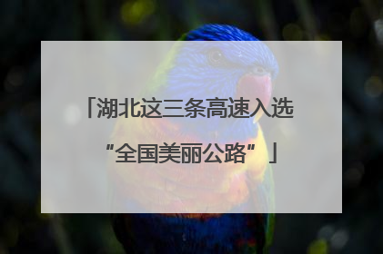 湖北这三条高速入选“全国美丽公路”