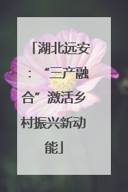 湖北远安：“三产融合”激活乡村振兴新动能