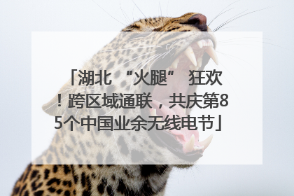 湖北 “火腿” 狂欢！跨区域通联，共庆第85个中国业余无线电节