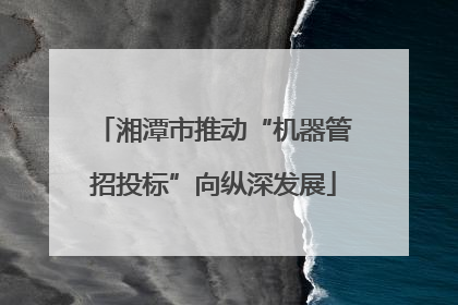 湘潭市推动“机器管招投标”向纵深发展