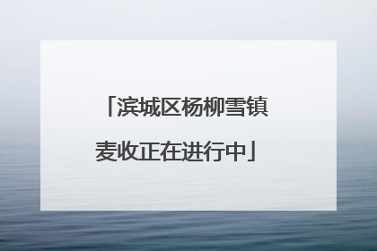 滨城区杨柳雪镇麦收正在进行中