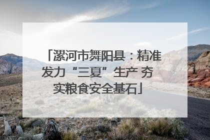 漯河市舞阳县：精准发力“三夏”生产 夯实粮食安全基石