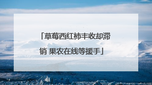 草莓西红柿丰收却滞销 果农在线等援手