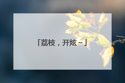 荔枝，开炫～