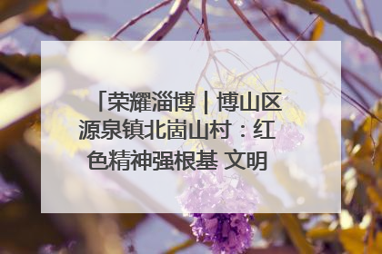荣耀淄博｜博山区源泉镇北崮山村：红色精神强根基 文明新风润山乡
