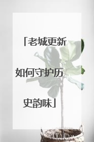 老城更新如何守护历史韵味