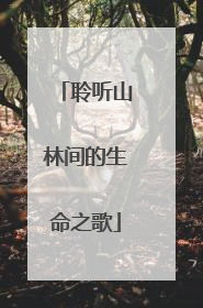 聆听山林间的生命之歌