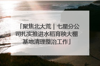 聚焦北大荒｜七星分公司扎实推进水稻育秧大棚基地清理整治工作