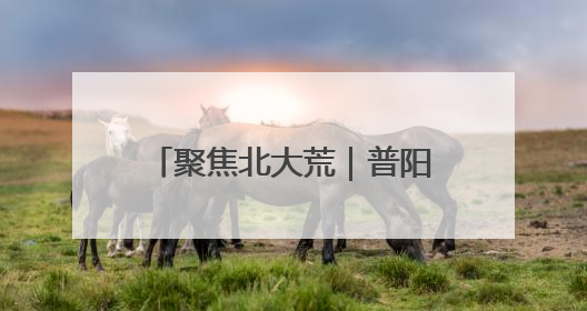 聚焦北大荒｜普阳农场科技园区打造智慧农业新阵地