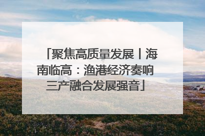 聚焦高质量发展丨海南临高：渔港经济奏响三产融合发展强音