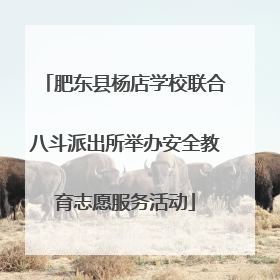 肥东县杨店学校联合八斗派出所举办安全教育志愿服务活动