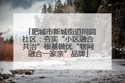 肥城市新城街道同圆社区：夯实“小区融合共治”根基做优“物网融合一家亲”品牌