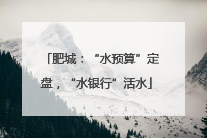 肥城：“水预算”定盘，“水银行”活水