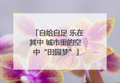 自给自足 乐在其中 城市里的空中“田园梦”