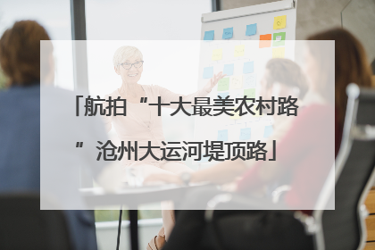 航拍“十大最美农村路”沧州大运河堤顶路