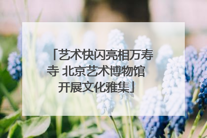 艺术快闪亮相万寿寺 北京艺术博物馆开展文化雅集