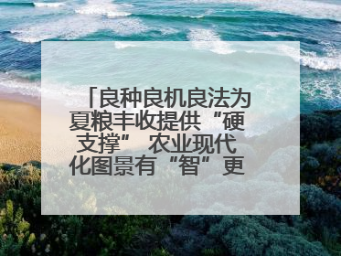 良种良机良法为夏粮丰收提供“硬支撑” 农业现代化图景有“智”更有“质”