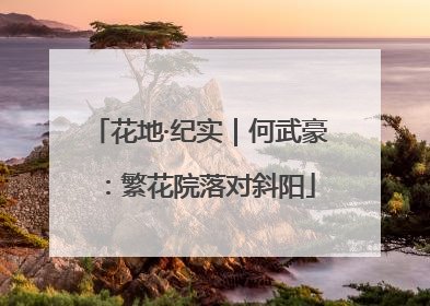 花地·纪实｜何武豪：繁花院落对斜阳