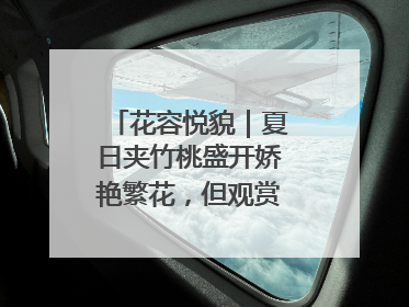 花容悦貌｜夏日夹竹桃盛开娇艳繁花，但观赏时“碰不得”