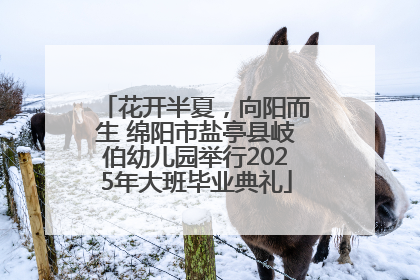 花开半夏，向阳而生 绵阳市盐亭县岐伯幼儿园举行2025年大班毕业典礼