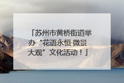 苏州市黄桥街道举办“花语永恒·微景大观”文化活动！