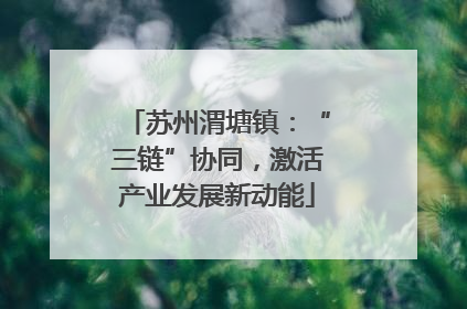 苏州渭塘镇：“三链”协同，激活产业发展新动能