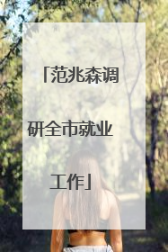 范兆森调研全市就业工作