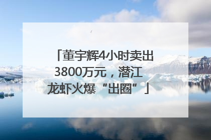 董宇辉4小时卖出3800万元，潜江龙虾火爆“出圈”