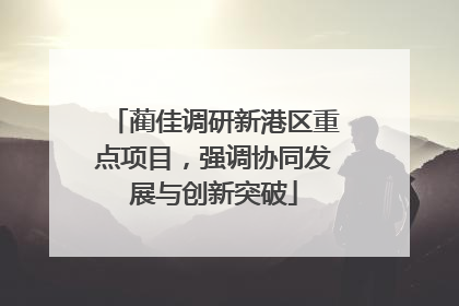 蔺佳调研新港区重点项目，强调协同发展与创新突破