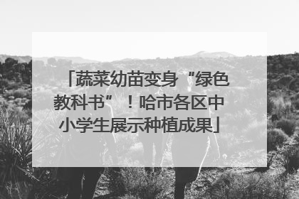 蔬菜幼苗变身“绿色教科书”！哈市各区中小学生展示种植成果