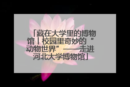藏在大学里的博物馆丨校园里奇妙的“动物世界”——走进河北大学博物馆