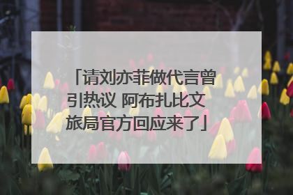 请刘亦菲做代言曾引热议 阿布扎比文旅局官方回应来了