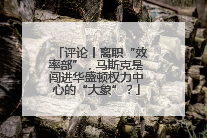 评论丨离职“效率部”，马斯克是闯进华盛顿权力中心的“大象”？