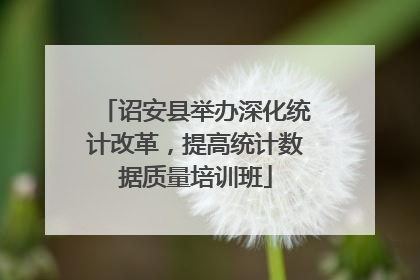诏安县举办深化统计改革，提高统计数据质量培训班