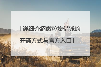 详细介绍微粒贷借钱的开通方式与官方入口