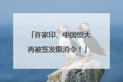 许家印、中国恒大再被签发限消令！