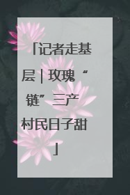 记者走基层｜玫瑰“链”三产 村民日子甜