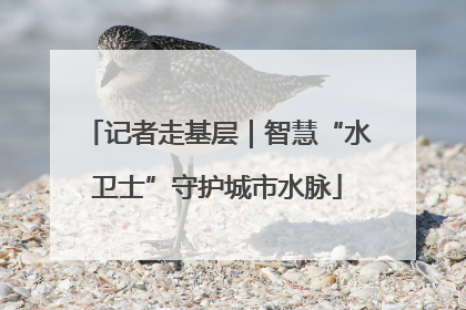 记者走基层｜智慧“水卫士”守护城市水脉