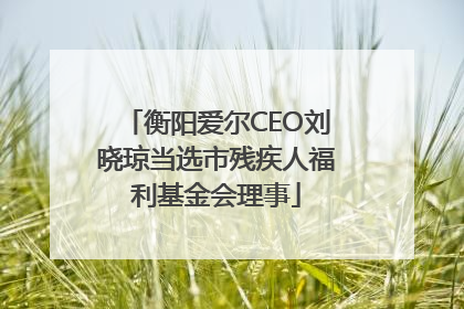 衡阳爱尔CEO刘晓琼当选市残疾人福利基金会理事