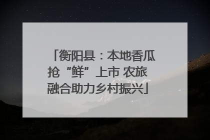 衡阳县：本地香瓜抢“鲜”上市 农旅融合助力乡村振兴
